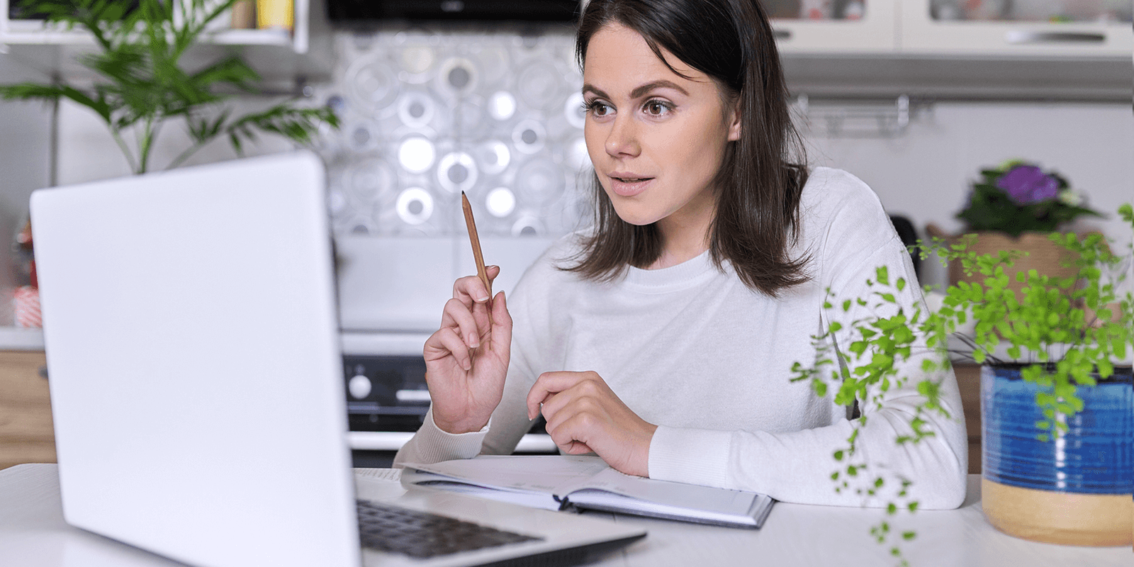 MLM Free Software In Kangra, Download MLM Software Kangra 2023